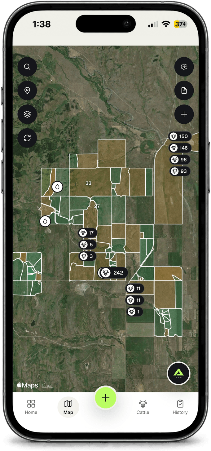 Pâturages cartographiés sur l’imagerie satellite dans l’application Agrivanna, avec le nombre de têtes sur chacun