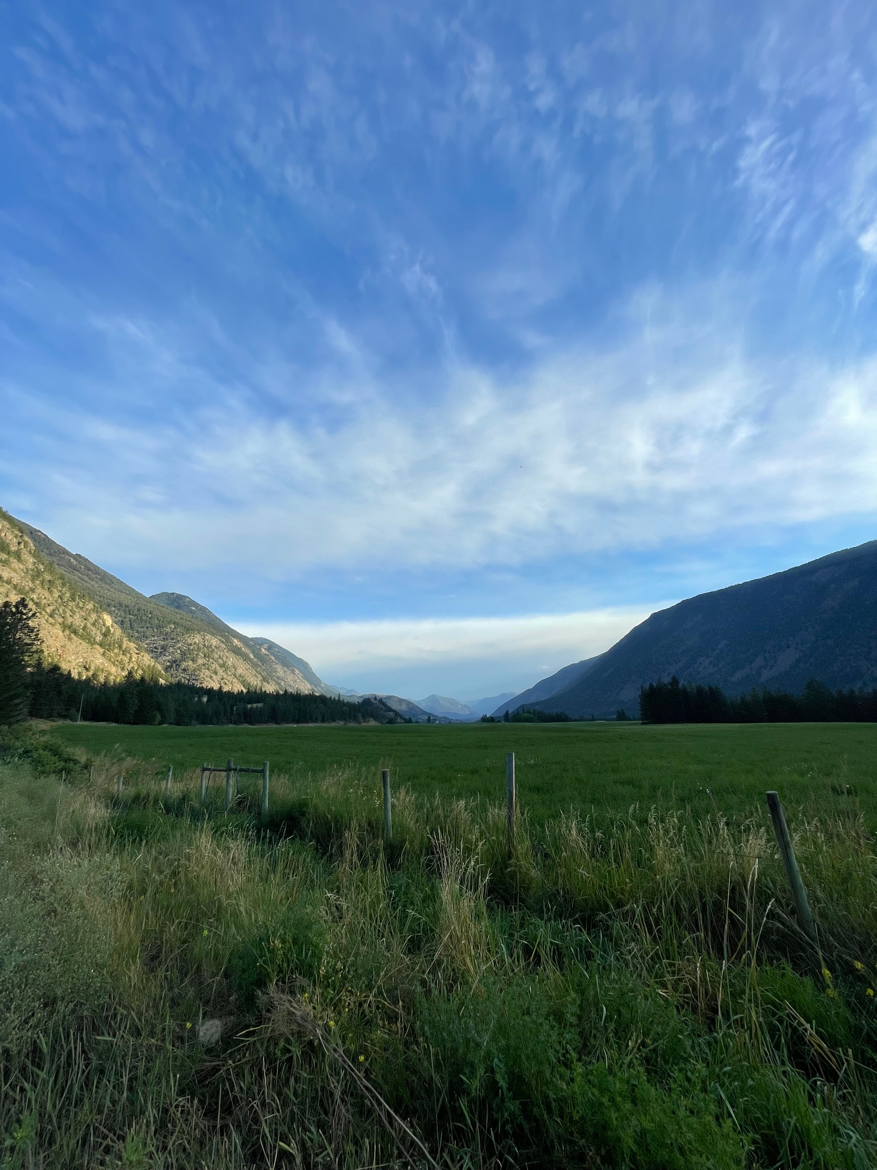A healthy Alberta pasture at sunset