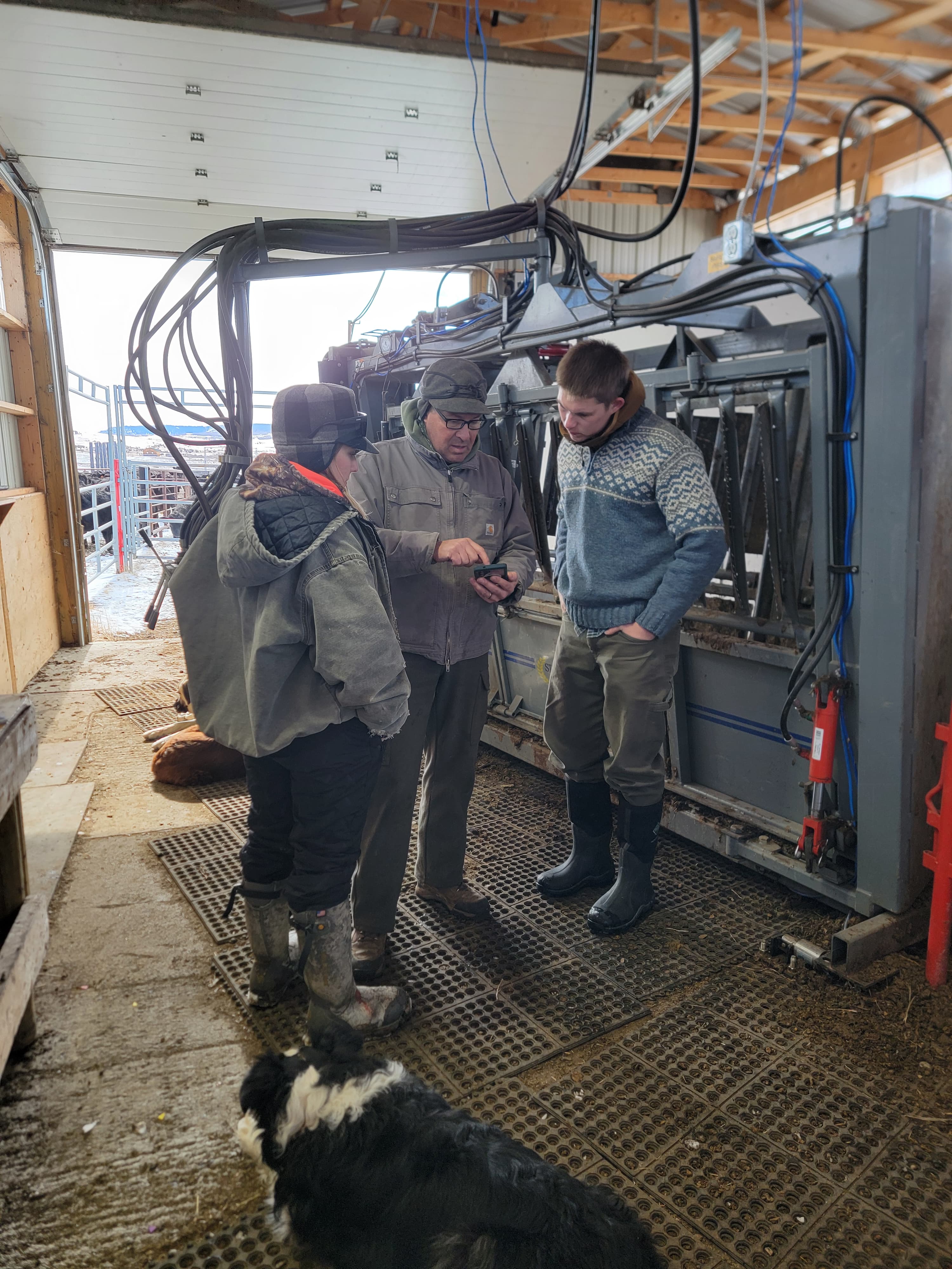 Ranch near Nanton, Alberta